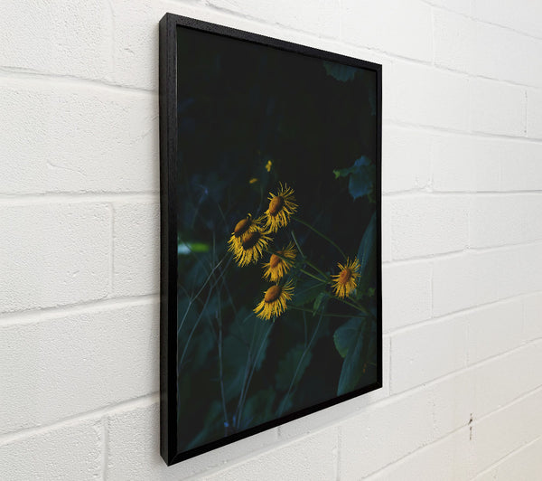 Yellow Blooms In The Dark