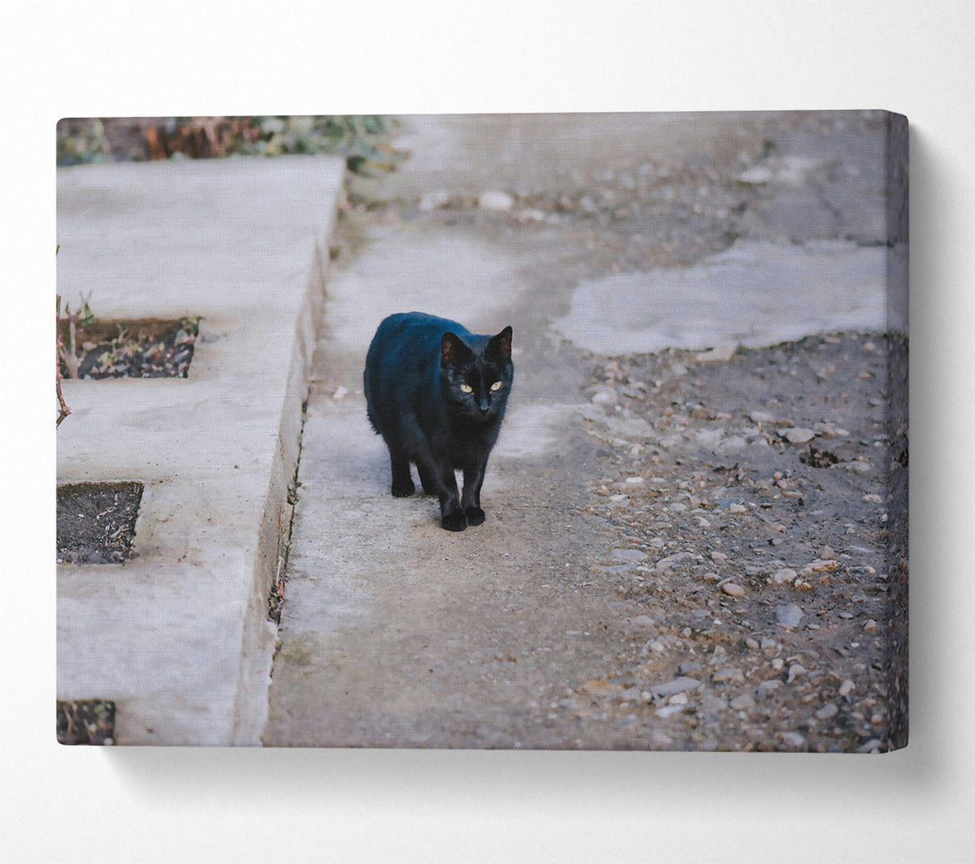  A Canvas Print of Loading... Canvas Print