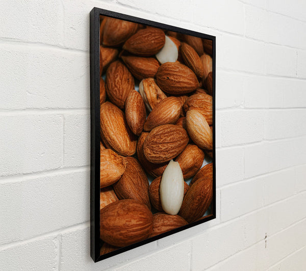 Brown Almond Abundance