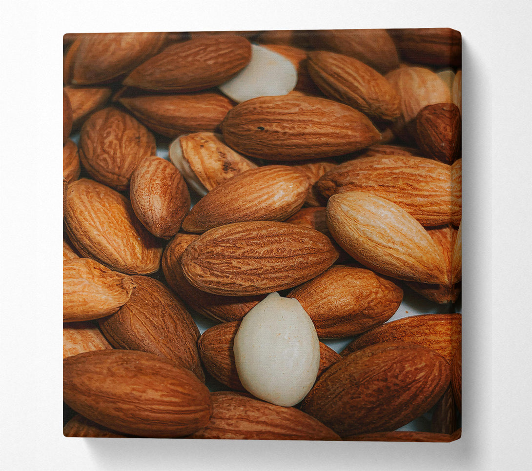  A Canvas Print of Brown Almond Abundance Canvas Wall Art
