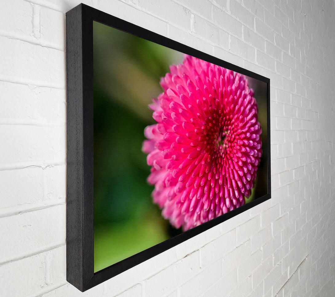  A Canvas Print of Fuchsia Floral Spiral Canvas Wall Art