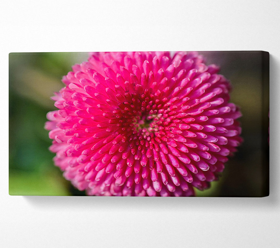  A Canvas Print of Fuchsia Floral Spiral Canvas Wall Art