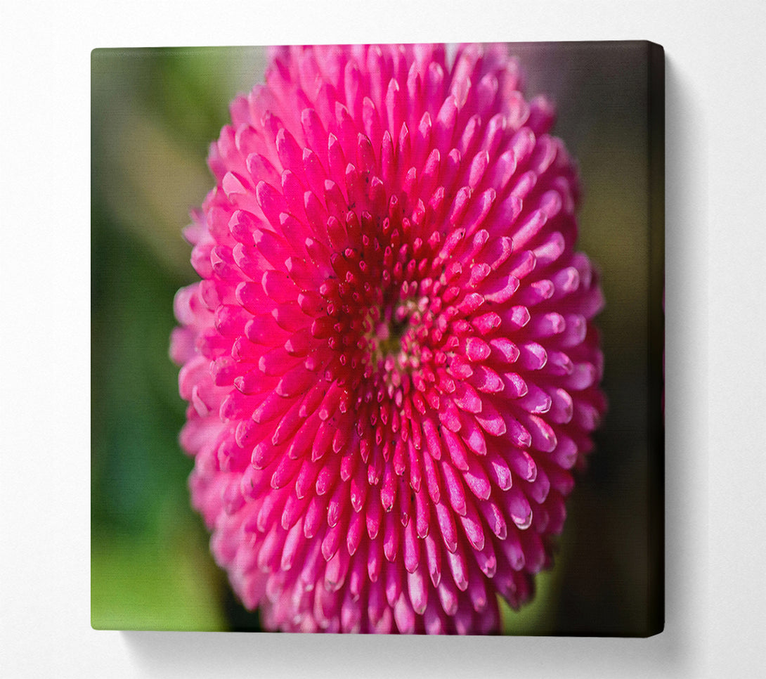  A Canvas Print of Fuchsia Floral Spiral Canvas Wall Art