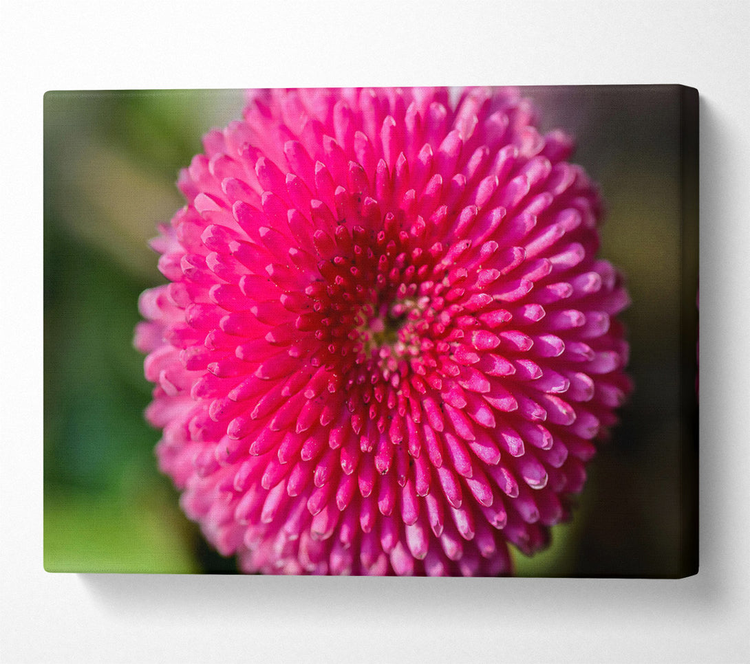  A Canvas Print of Fuchsia Floral Spiral Canvas Wall Art