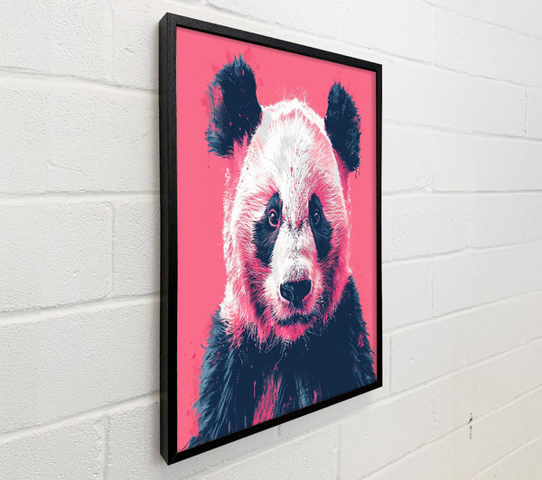 Pink Panda Stare