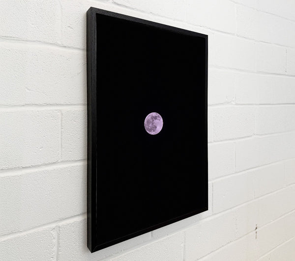 Lavender Lunar Glow