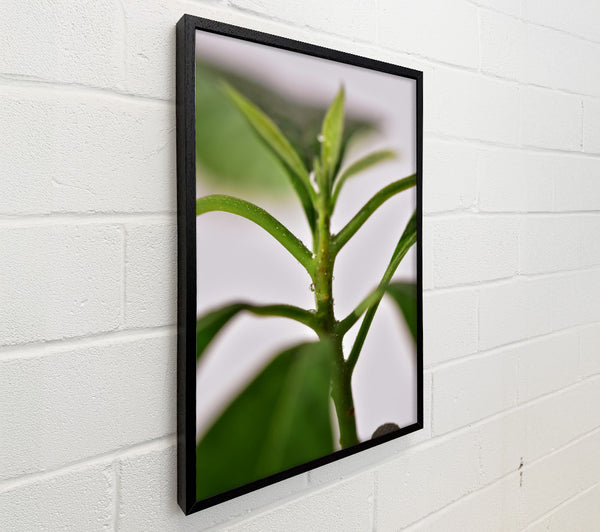 Emerald Stem Sprig