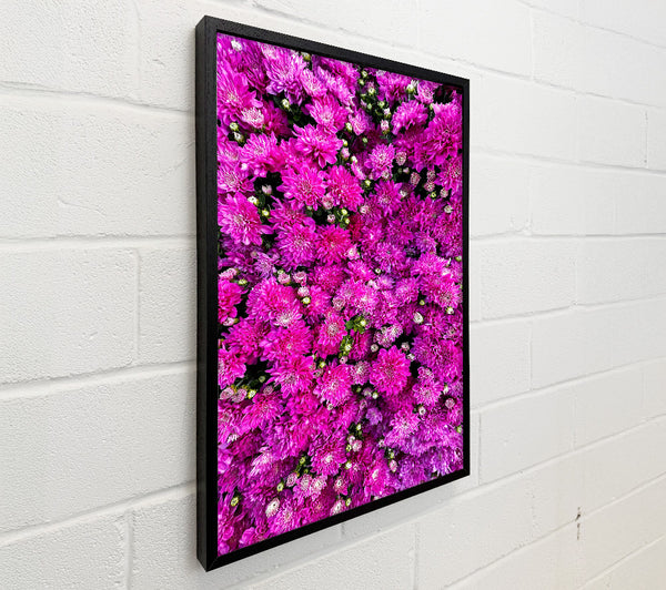 Magenta Floral Field