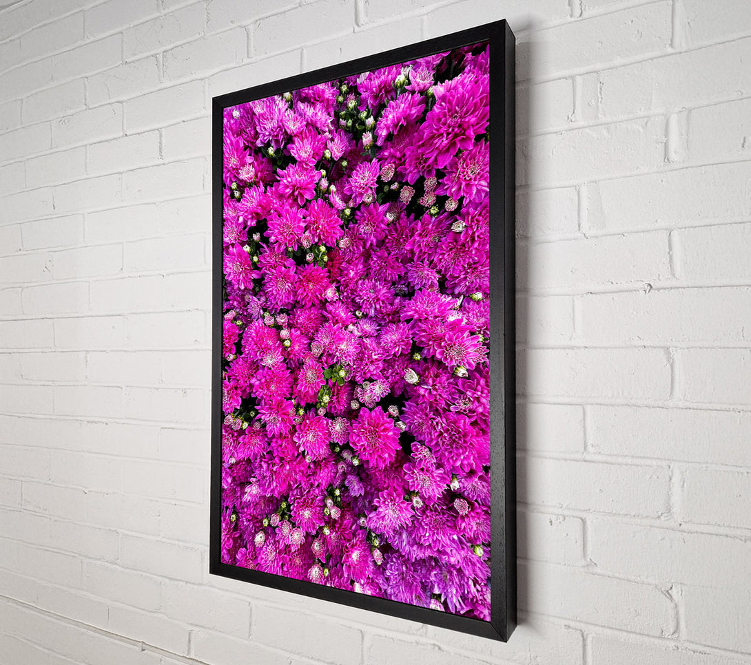  A Canvas Print of Magenta Floral Field Canvas Wall Art