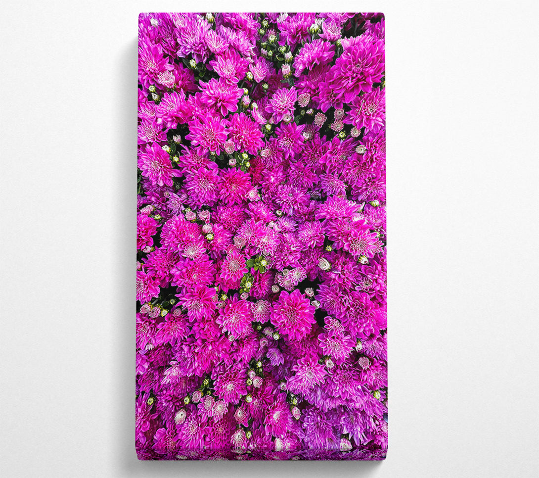  A Canvas Print of Magenta Floral Field Canvas Wall Art
