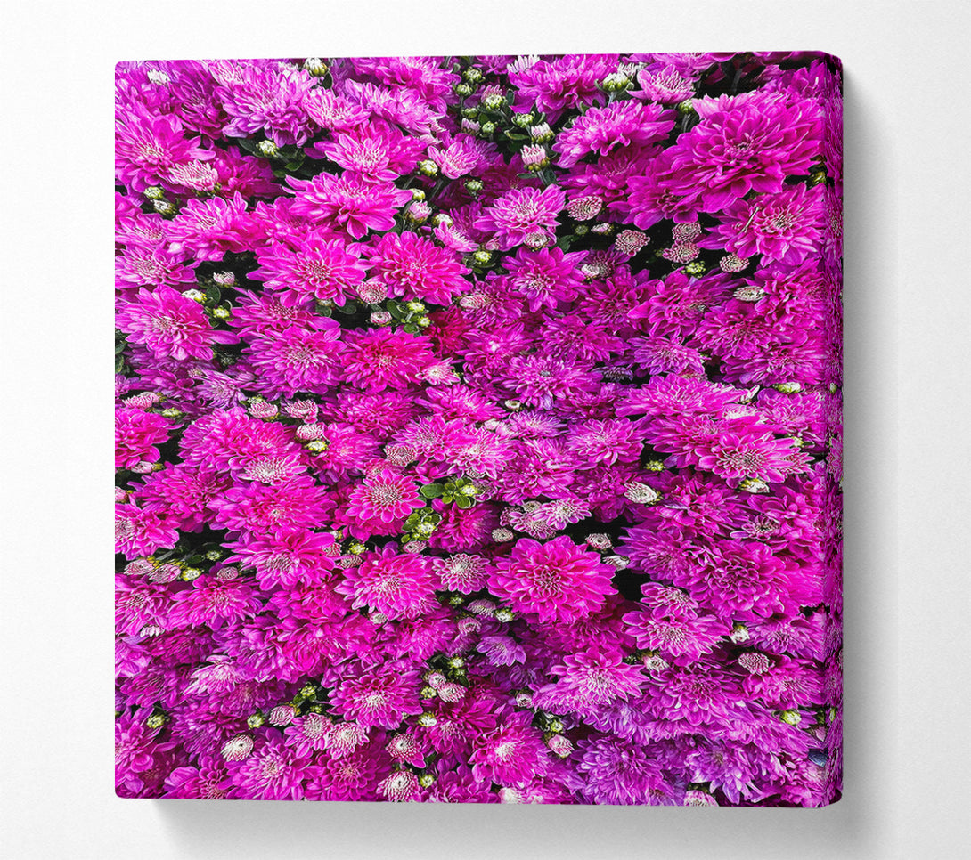  A Canvas Print of Magenta Floral Field Canvas Wall Art