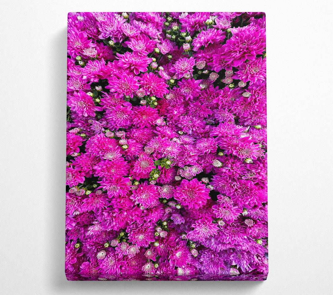  A Canvas Print of Magenta Floral Field Canvas Wall Art