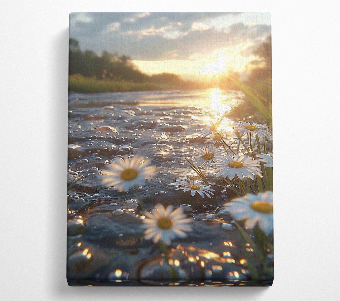  A Canvas Print of Golden River Daisies Canvas Wall Art