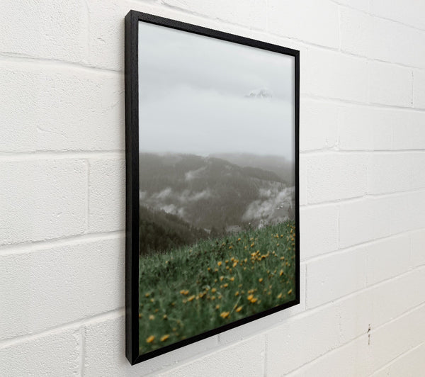 Yellow Fields In Mist