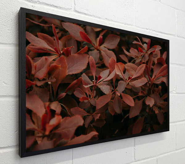 Burgundy Leaf Symphony