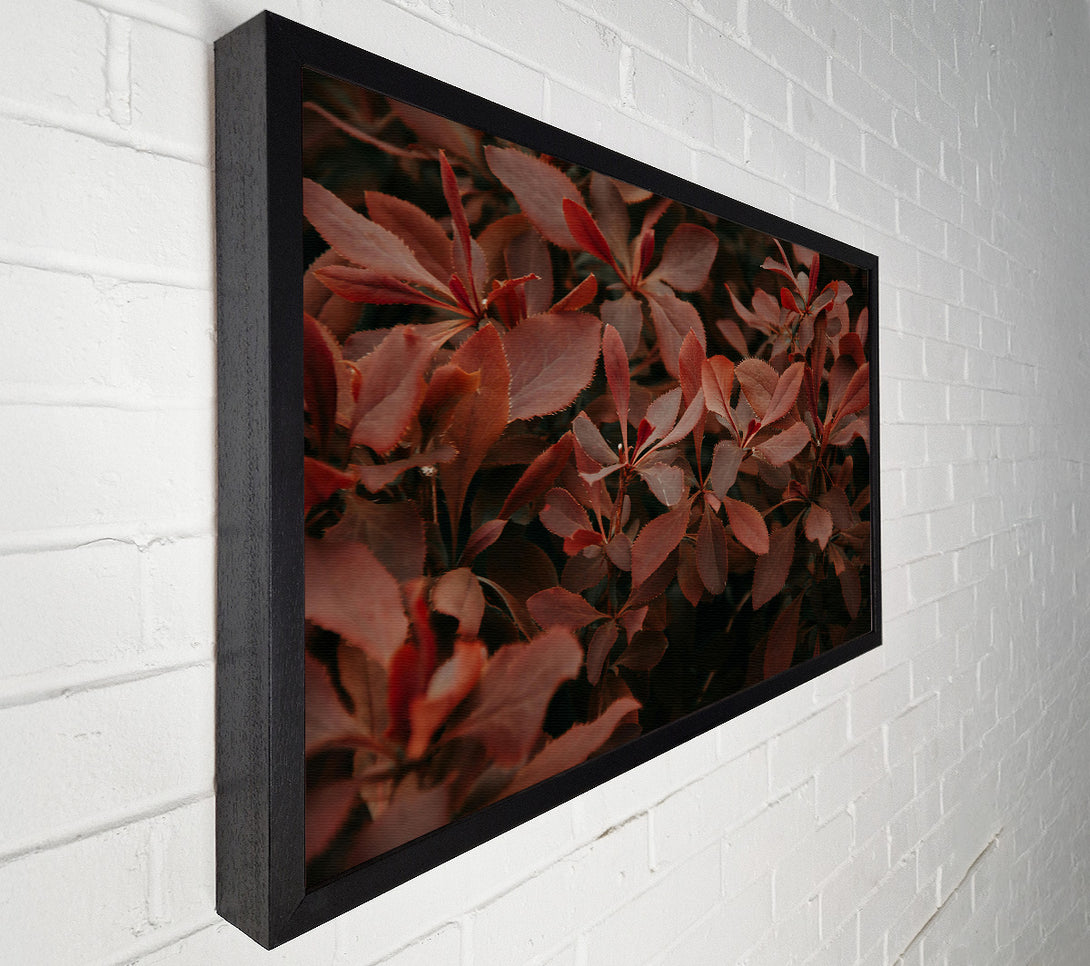  A Canvas Print of Burgundy Leaf Symphony Canvas Print