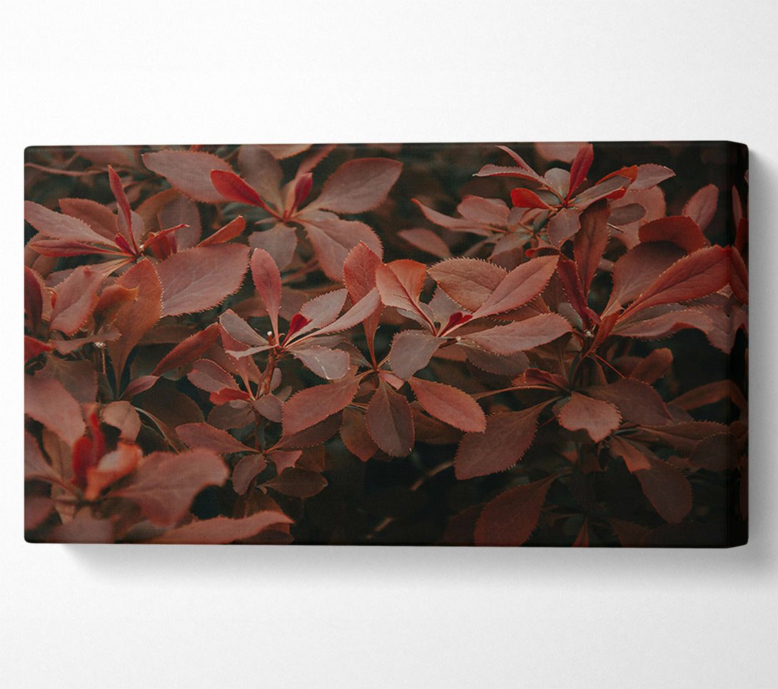  A Canvas Print of Burgundy Leaf Symphony Canvas Print