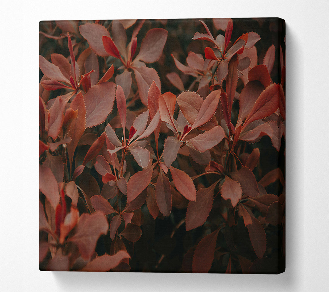  A Canvas Print of Burgundy Leaf Symphony Canvas Print