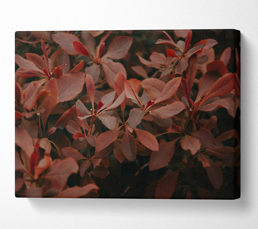  A Canvas Print of Burgundy Leaf Symphony Canvas Print