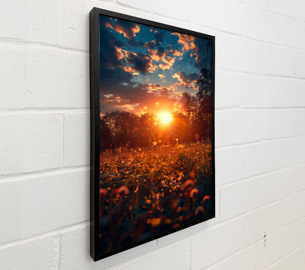 Orange Dewdrop Sunrise