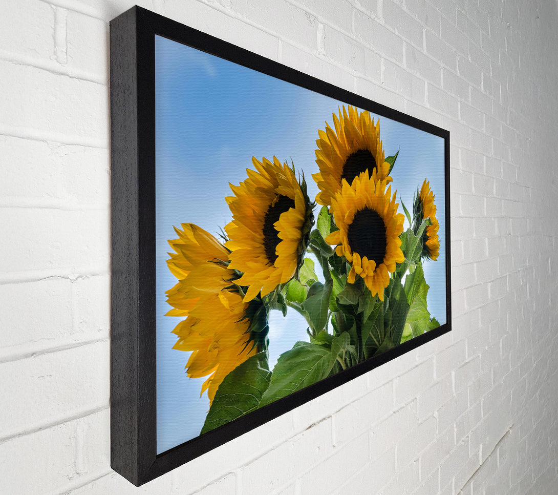  A Canvas Print of Golden Sunflower Sky Canvas Wall Art