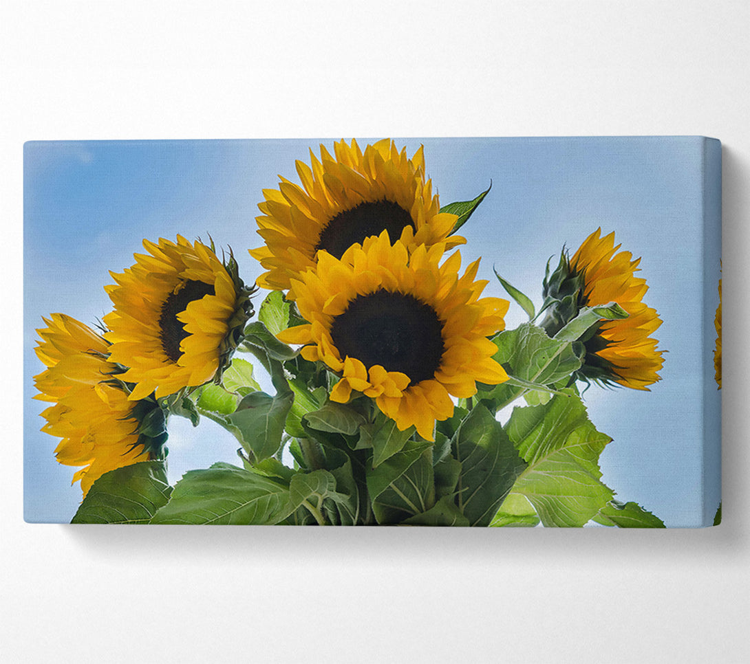  A Canvas Print of Golden Sunflower Sky Canvas Wall Art