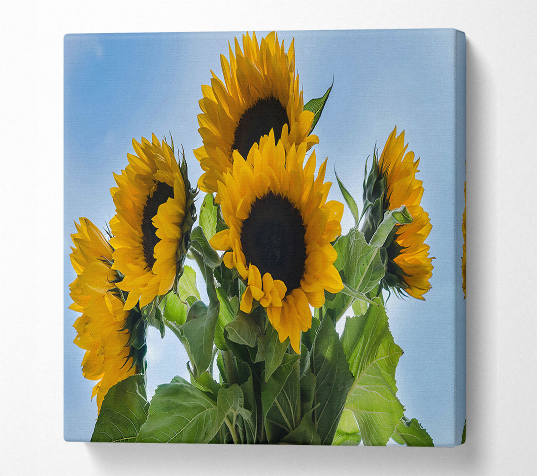  A Canvas Print of Golden Sunflower Sky Canvas Wall Art