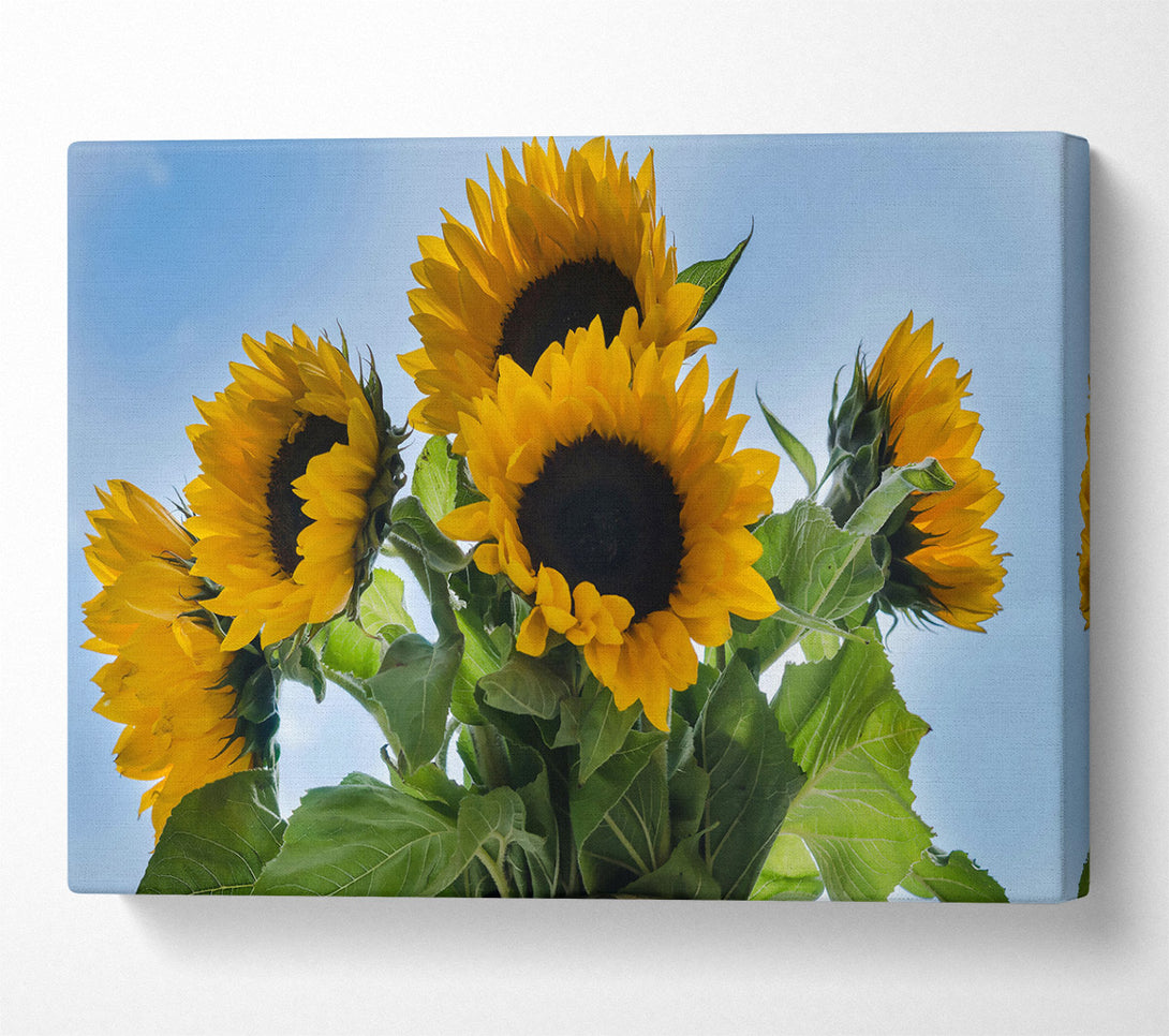  A Canvas Print of Golden Sunflower Sky Canvas Wall Art