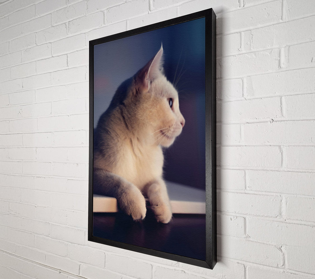  A Canvas Print of White Kitty'S Gaze Canvas Wall Art