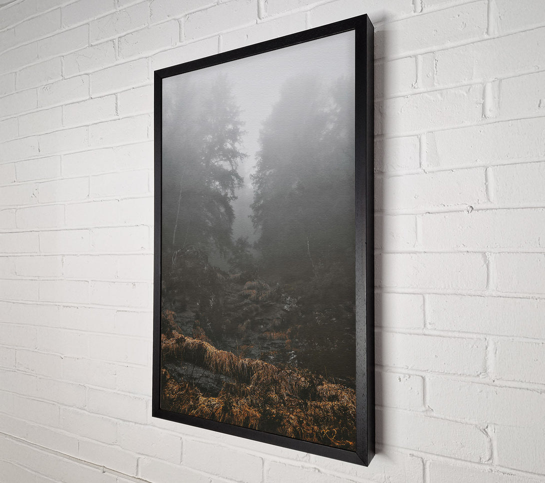  A Canvas Print of Golden Foggy Path Canvas Wall Art