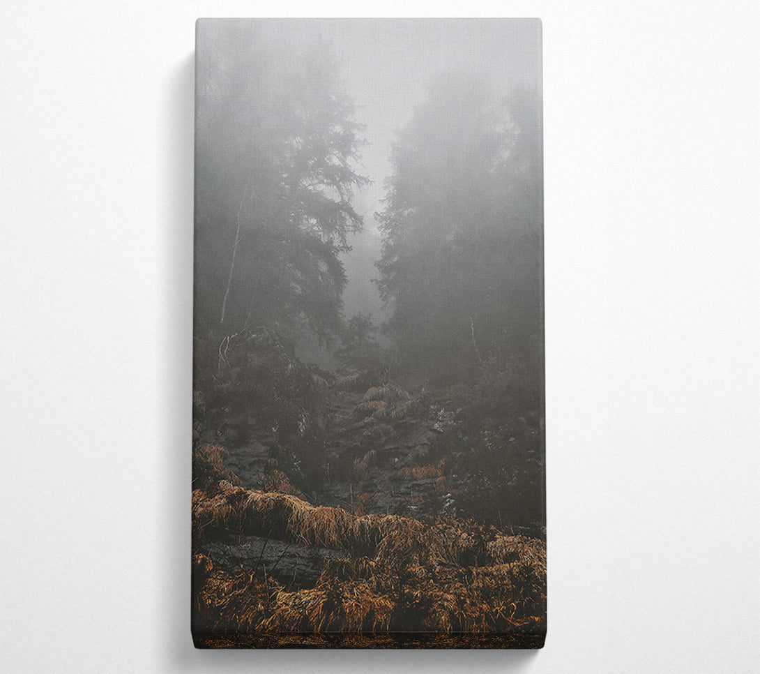  A Canvas Print of Golden Foggy Path Canvas Wall Art