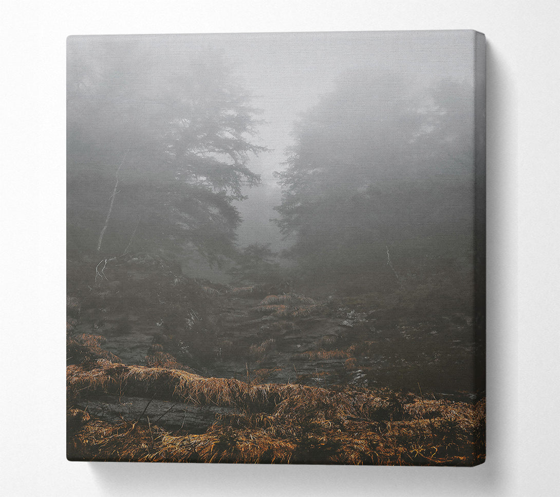  A Canvas Print of Golden Foggy Path Canvas Wall Art