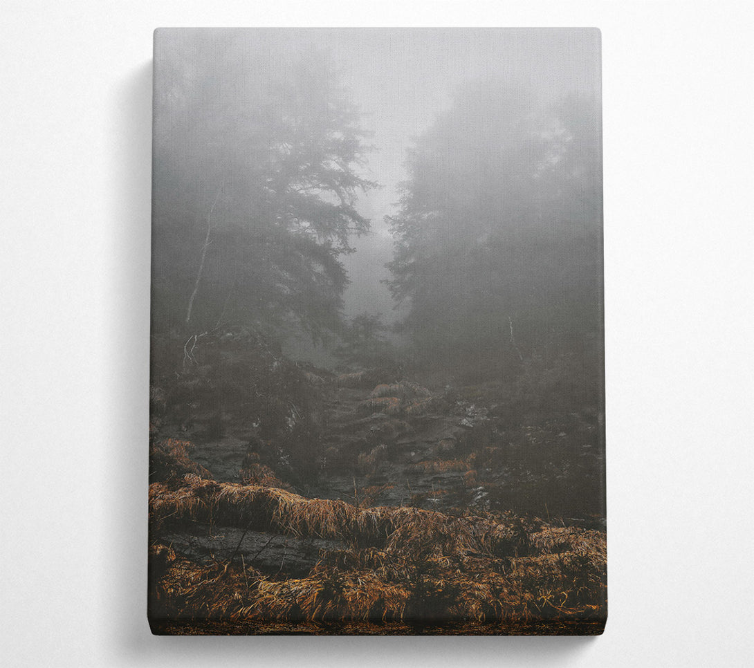  A Canvas Print of Golden Foggy Path Canvas Wall Art