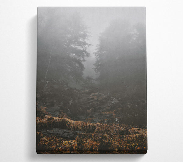  A Canvas Print of Golden Foggy Path Canvas Wall Art