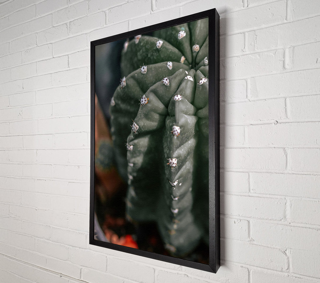  A Canvas Print of Emerald Cactus Spines Canvas Art