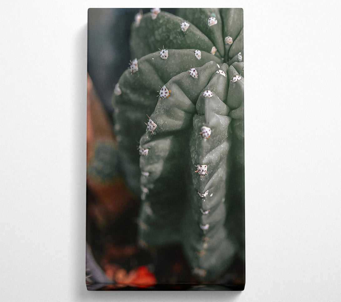  A Canvas Print of Emerald Cactus Spines Canvas Art