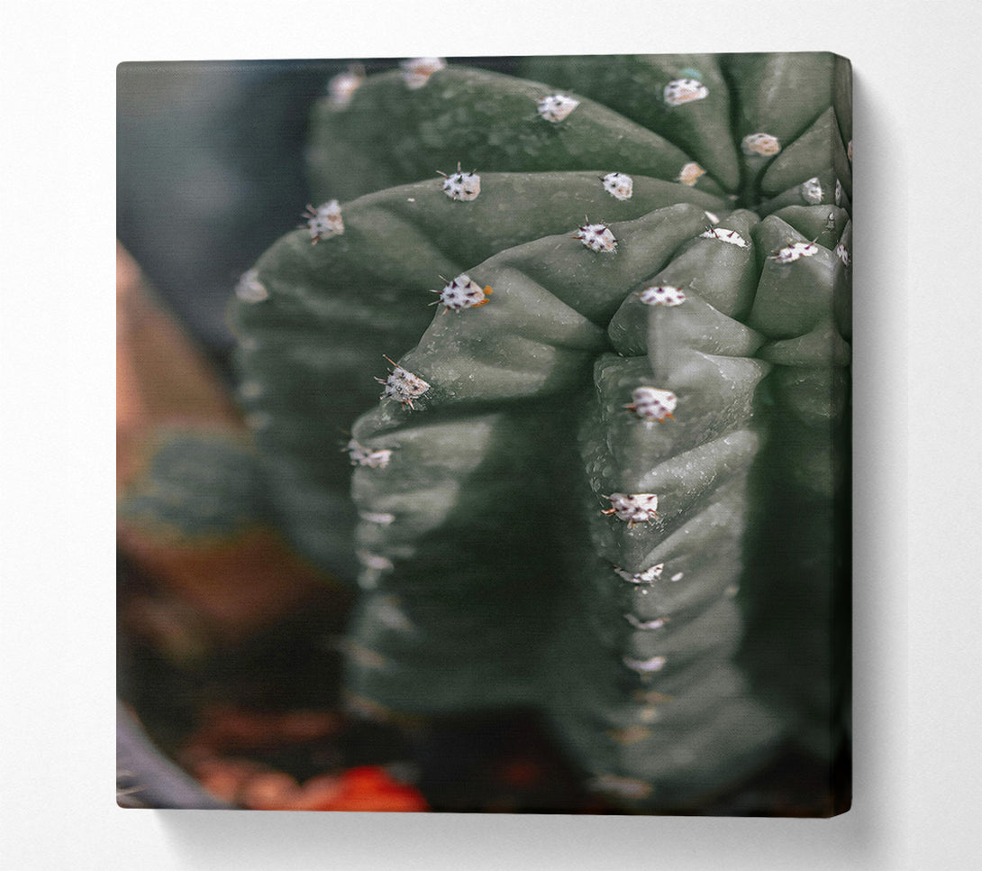  A Canvas Print of Emerald Cactus Spines Canvas Art