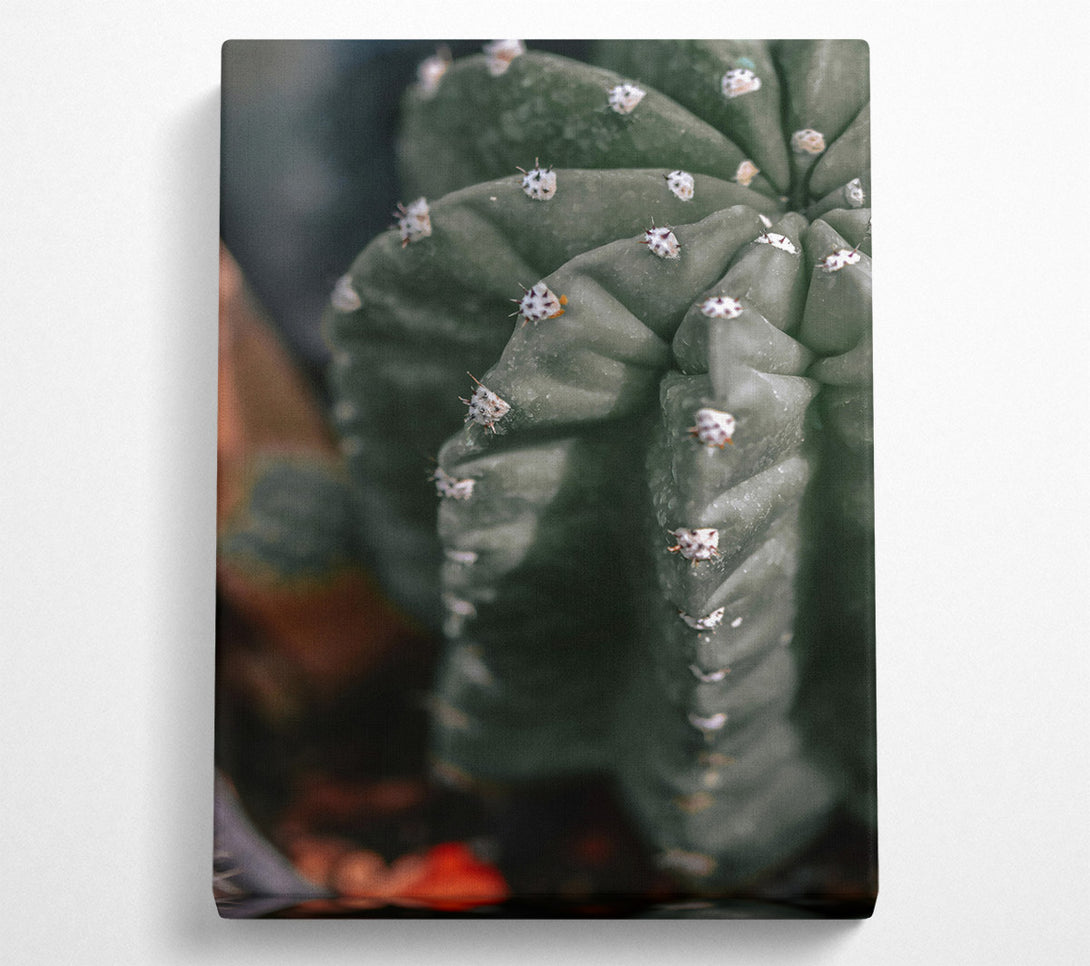  A Canvas Print of Emerald Cactus Spines Canvas Art