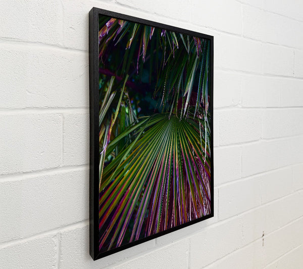 Purple Palm Fronds