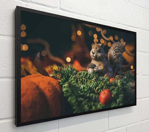Orange Squirrel Dreams