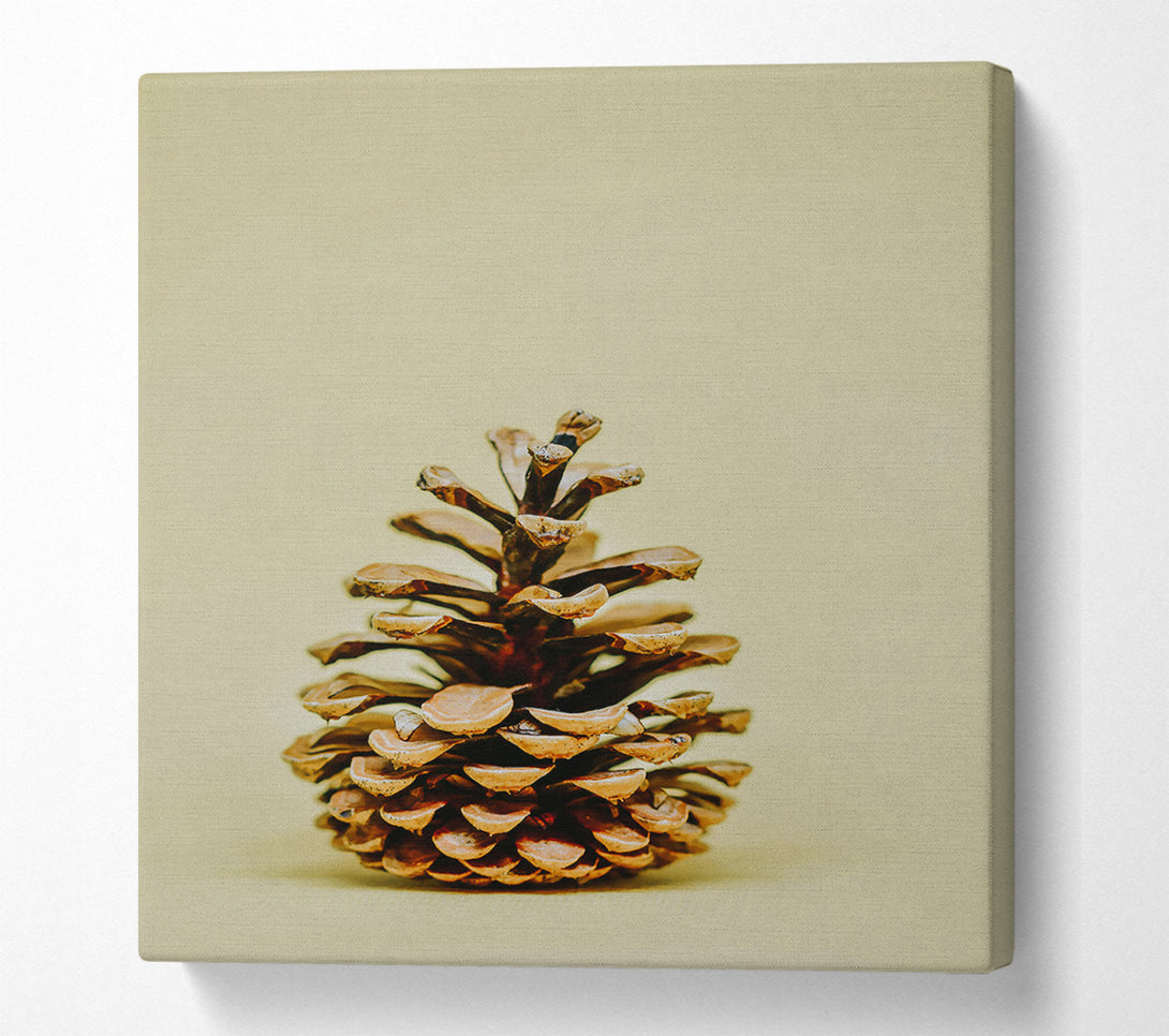  A Canvas Print of Golden Pine Cone Canvas Art