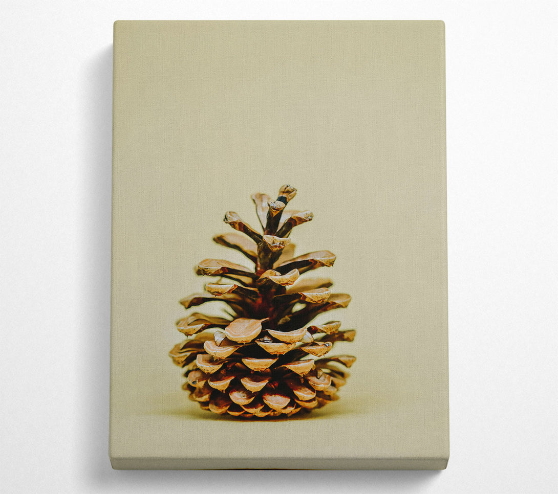  A Canvas Print of Golden Pine Cone Canvas Art