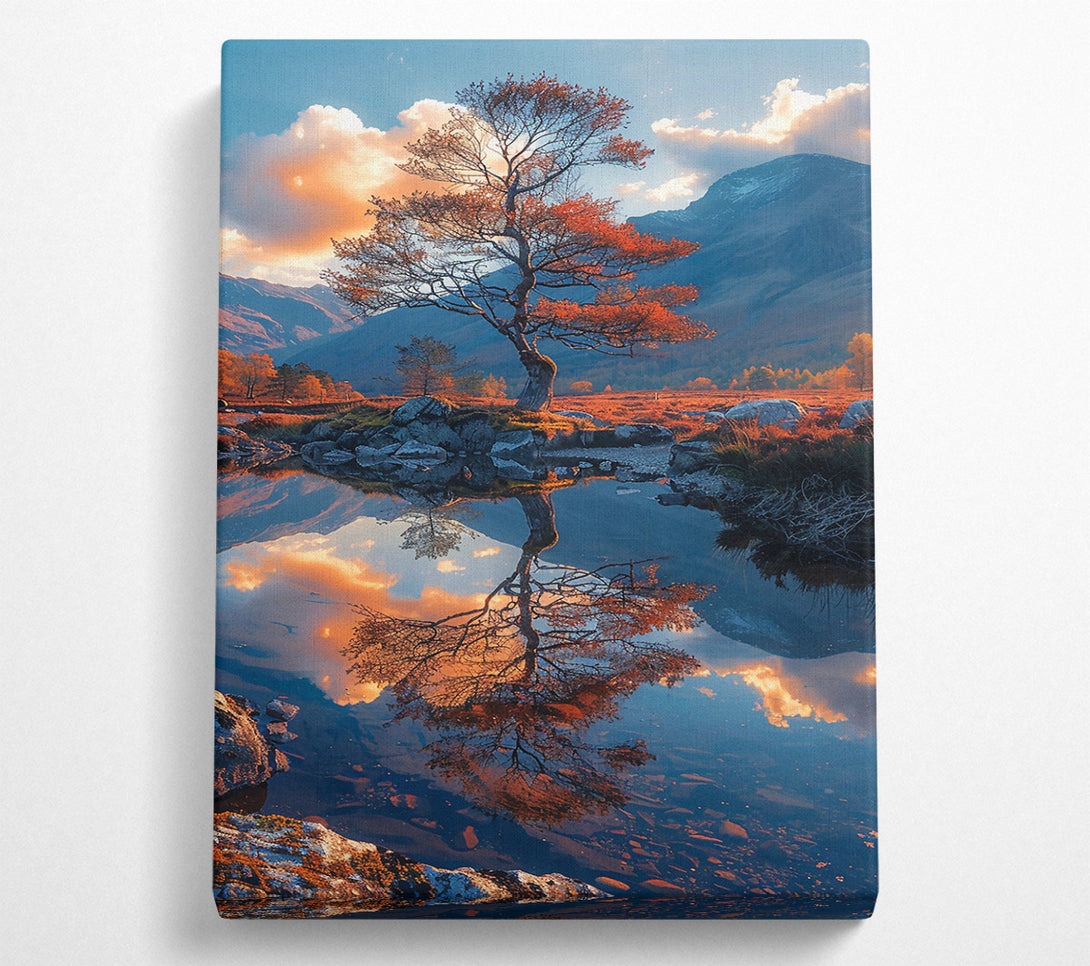  A Canvas Print of Orange Tree Reflection Canvas Print