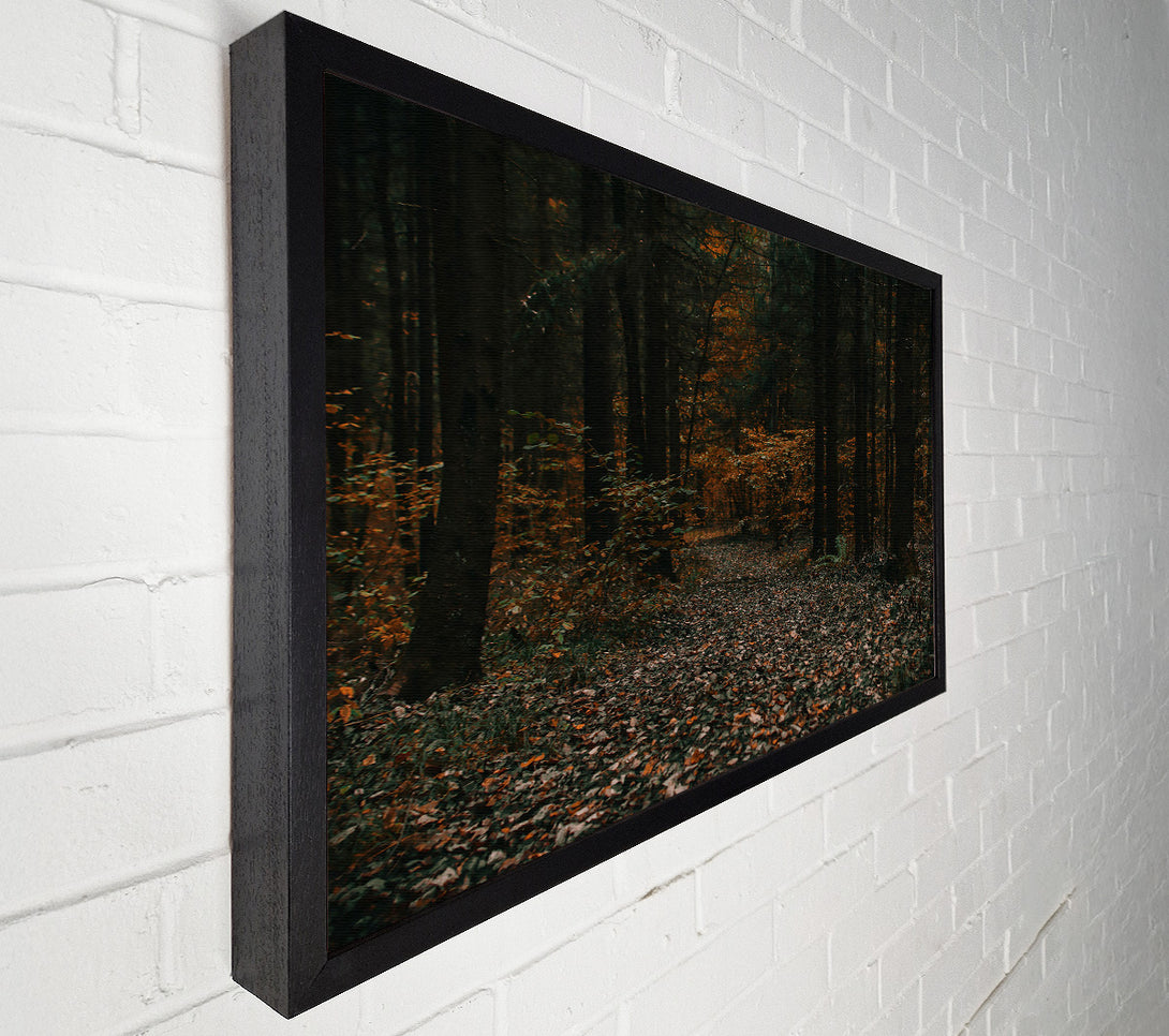  A Canvas Print of Autumnal Forest Path Canvas Art