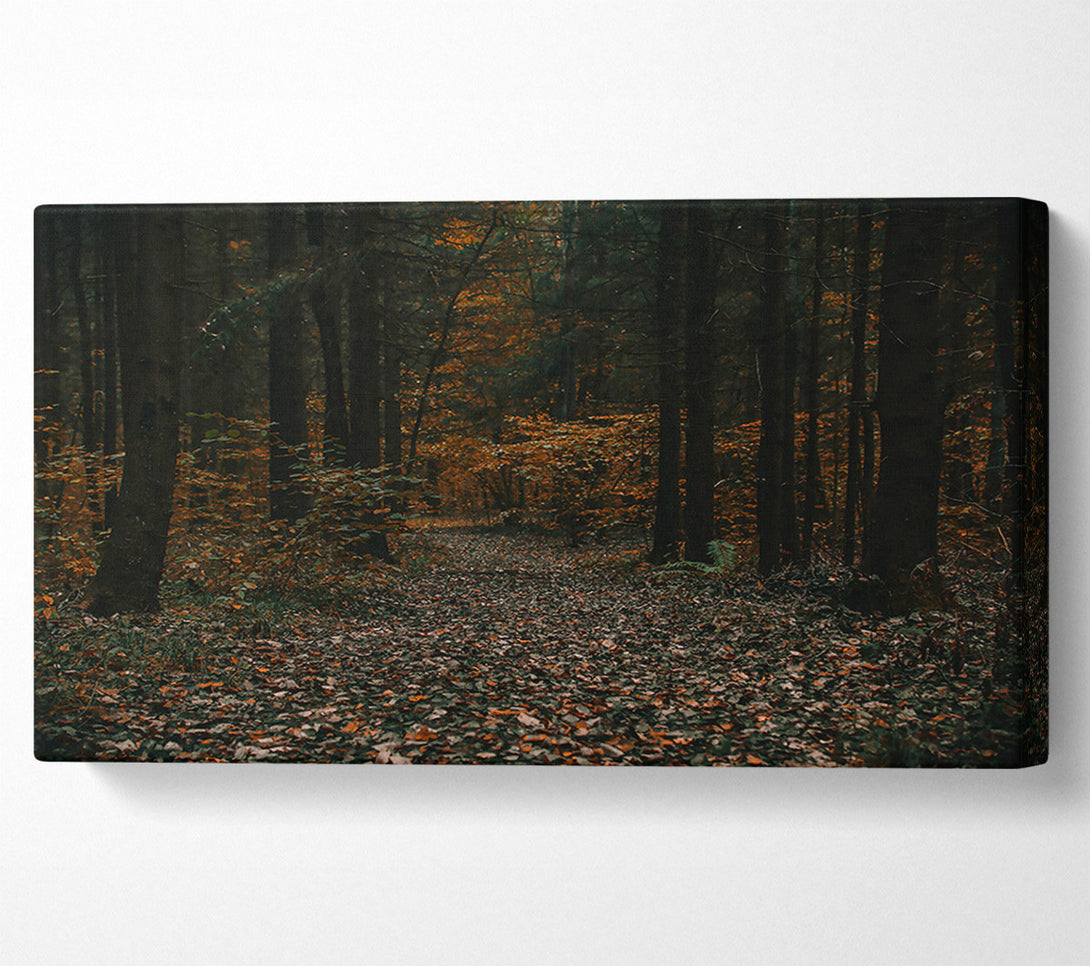  A Canvas Print of Autumnal Forest Path Canvas Art