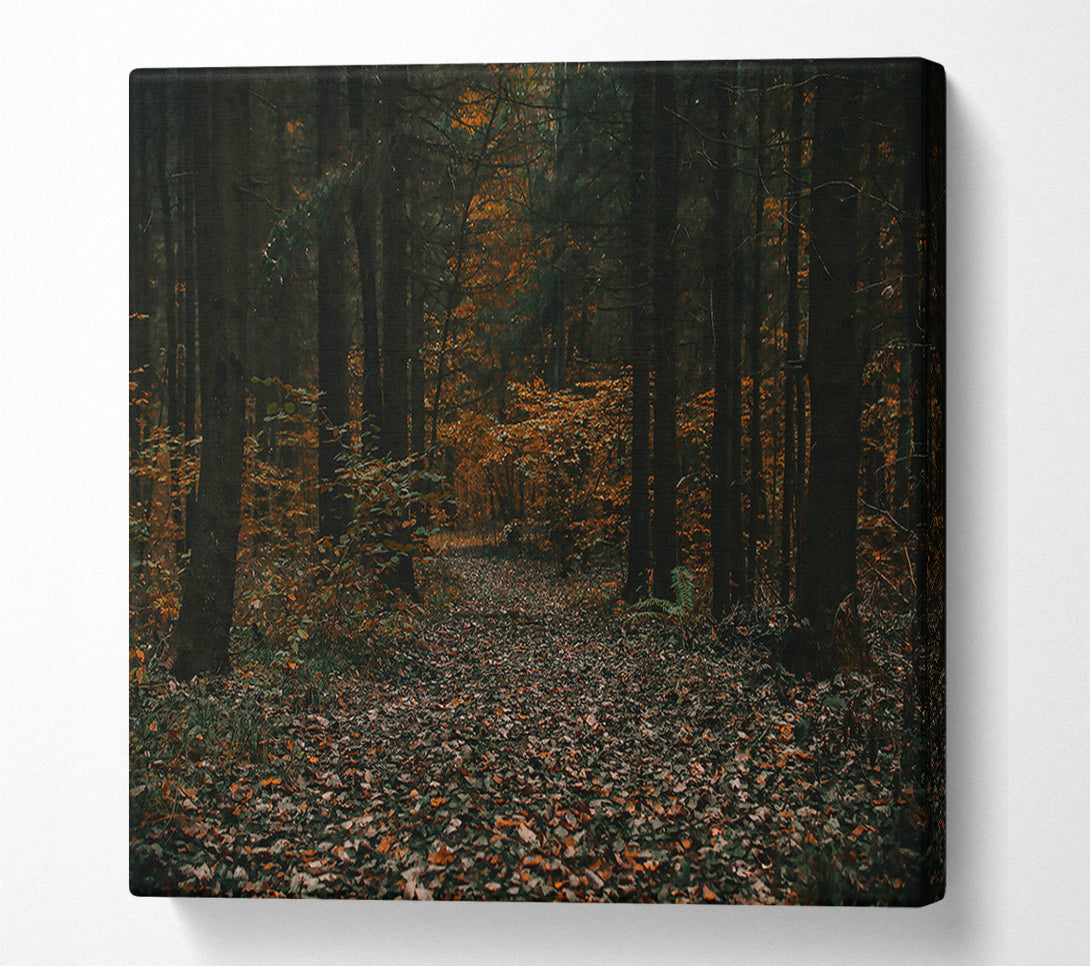  A Canvas Print of Autumnal Forest Path Canvas Art