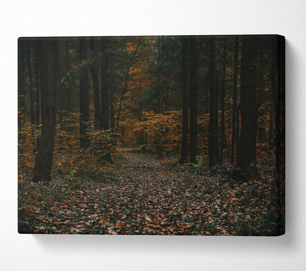  A Canvas Print of Autumnal Forest Path Canvas Art