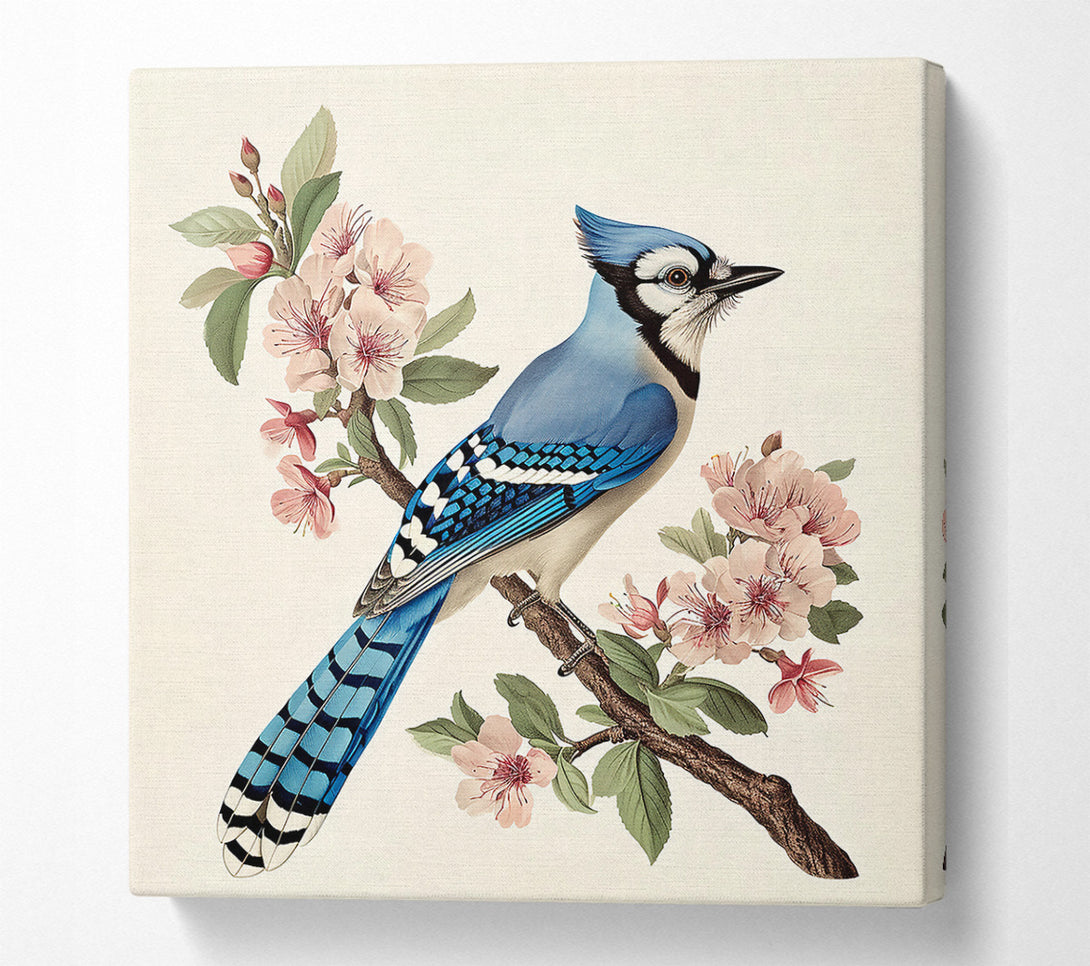  A Canvas Print of Blue Jay In Bloom Canvas Wall Art
