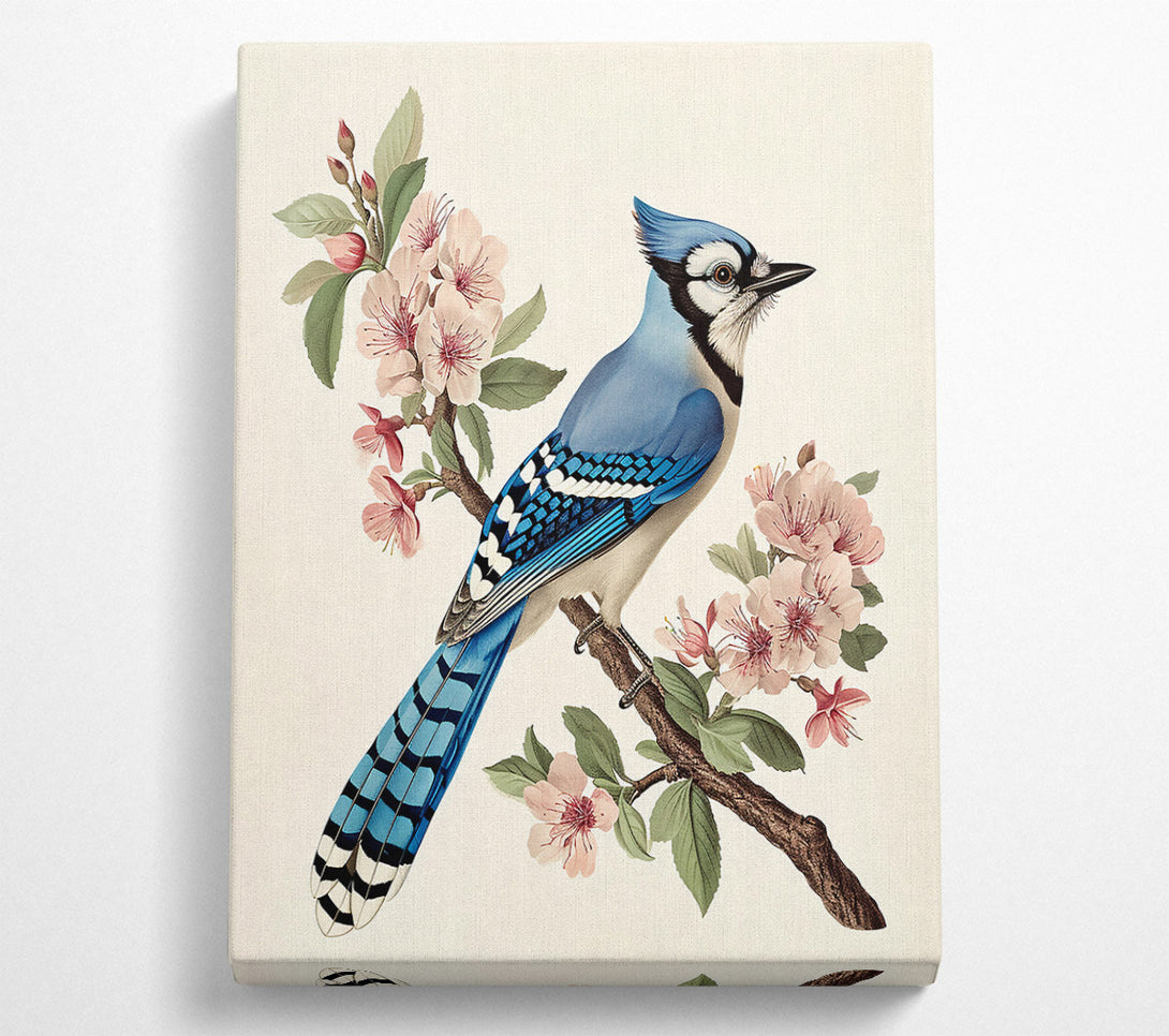  A Canvas Print of Blue Jay In Bloom Canvas Wall Art