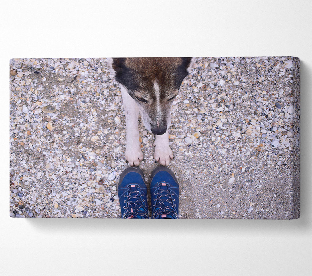  A Canvas Print of Blue Paw Prints On Sand Canvas Art
